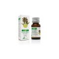 Soria Natural Olejek tymiankowy 15ml Wyprzedaż BB.08.2026