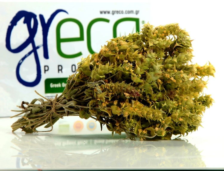 Greco gojnik z Olimpu (sideritis scardica griseb) 35g BIO – zdjęcie 4