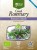 Greco rozmaryn (rosmarinus officinalis) 35g BIO – zdjęcie 3