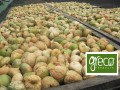 Greco Figi suszone 500g BIO