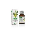 Soria Natural Olejek goździkowy 15ml