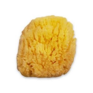 Kereso Sponges Naturalna gąbka morska (struktura trawy) 11-12cm