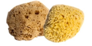 Kereso Sponges Naturalna gąbka morska (plaster miodu) 9.5-11cm
