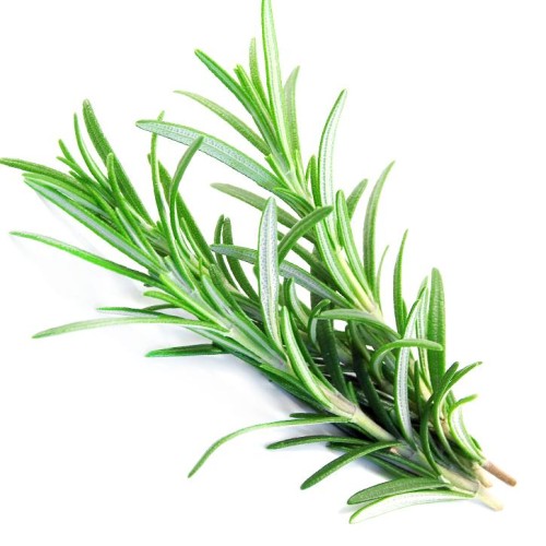 Soria Natural Olejek z rozmarynu 15ml – zdjęcie 2