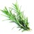 Soria Natural Olejek z rozmarynu 15ml – zdjęcie 2