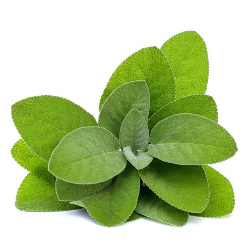Soria Natural Olejek z szałwii 15ml – zdjęcie 2