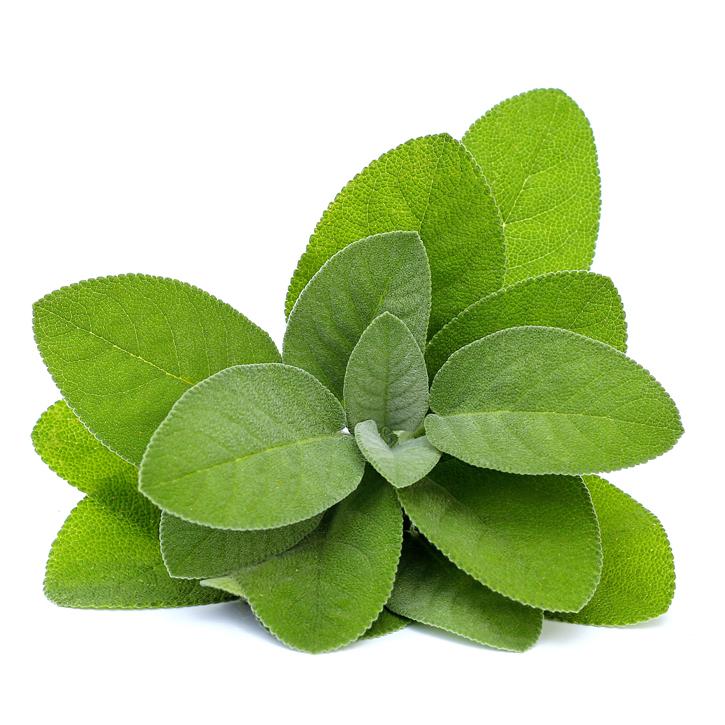 Soria Natural Olejek z szałwii 15ml – zdjęcie 2