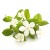 Soria Natural Olejek z kwiatów pomarańczy 15ml – zdjęcie 2