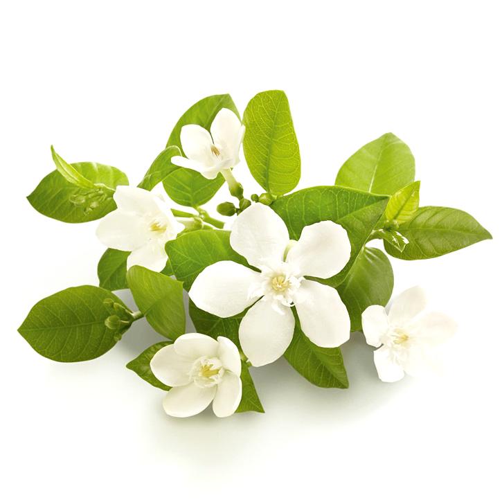 Soria Natural Olejek z kwiatów pomarańczy 15ml – zdjęcie 2
