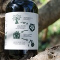 Potolo oliwa extra virgin Kissamos (rolnictwo regeneratywne) 500ml BIO