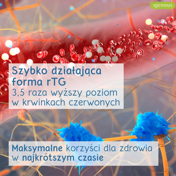 Igennus Omega 3 650mg EPA/DHA z vitaminą D3 60kaps – zdjęcie 6