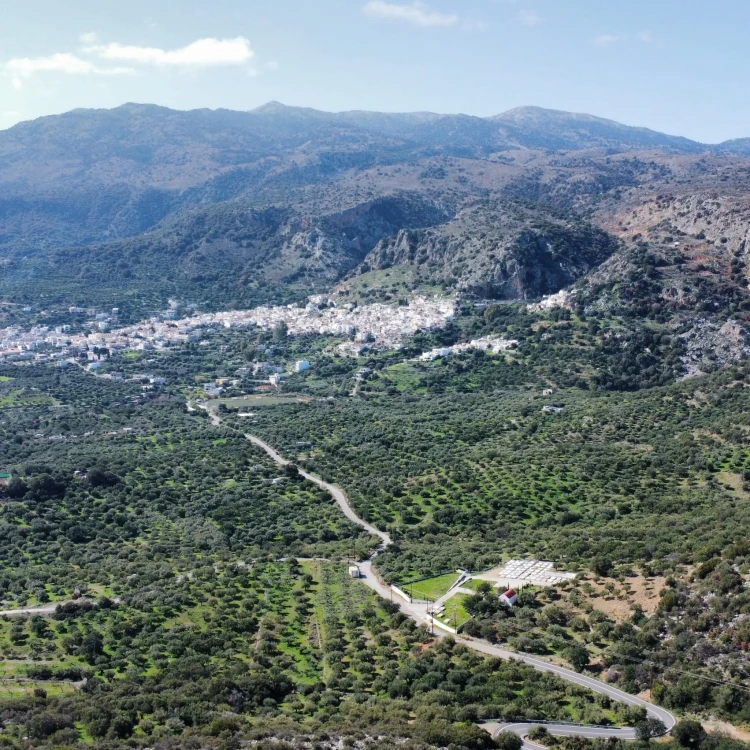 Physis of Crete oliwa extra virgin łagodna do sałatek 3l – zdjęcie 14