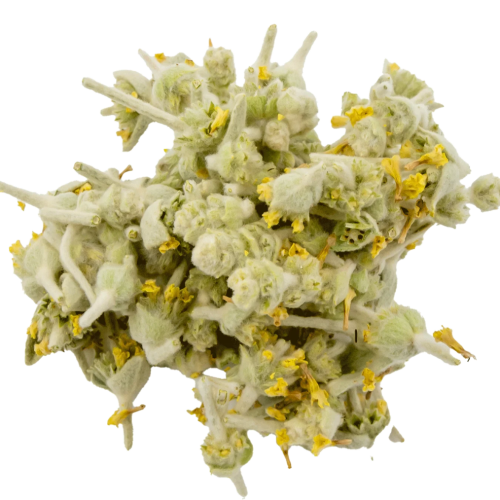 Tofillo Malotira (herbata górska, gojnik) z Krety 30g BIO (doypack) – zdjęcie 4