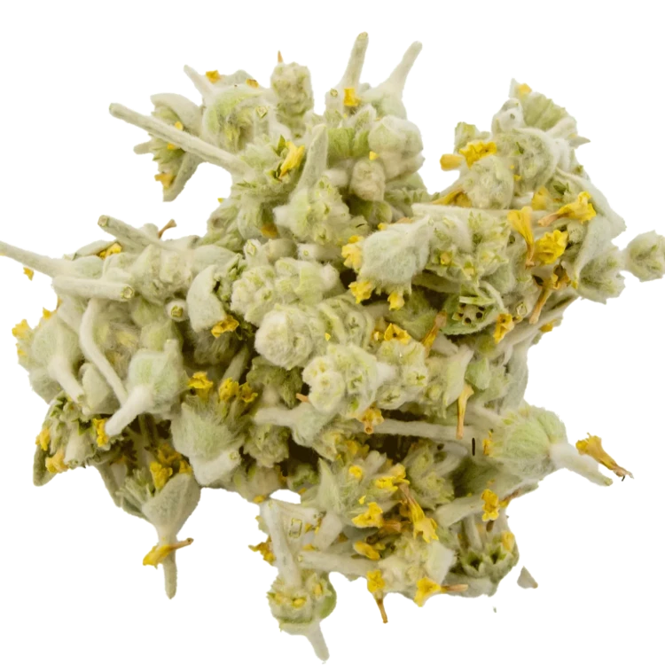 Tofillo Malotira (herbata górska, gojnik) z Krety 30g BIO (doypack) – zdjęcie 4