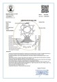 Holiston oliwa extra virgin Ultra Premium Phenolic 500ml (NMR: Suma 1197 mg/kg , Index D1 435 mg/kg)