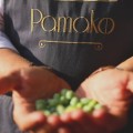 Pamako oliwa wczesnego zbioru extra virgin ultra premium Tsounati Monovarietal 500ml BIO (NMR: Suma 2081 mg/kg , Index D1 1582 mg/kg)