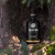 Asopiton oliwa wczesnego zbioru extra virgin ultra premium Koroneiki Monovarietal 500ml – zdjęcie 12