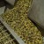 Corinto oliwa extra virgin Manaki 5l – zdjęcie 3