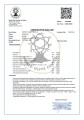 Corinto oliwa extra virgin Koroneiki/Nemoutiana 500ml BIO (NMR: Suma 639 mg/kg , Index D1 301 mg/kg)