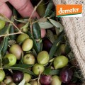 Epikouros  oliwki zielone z migdałami 320g BIO