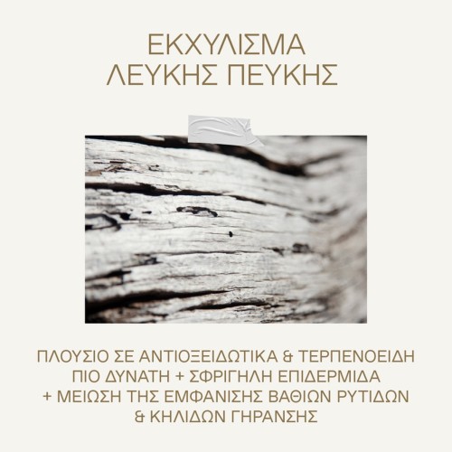 korres-white-pine-meno-reverse-krem-poprawiajacy-kontur-oczu-i-ust-15-ml-4