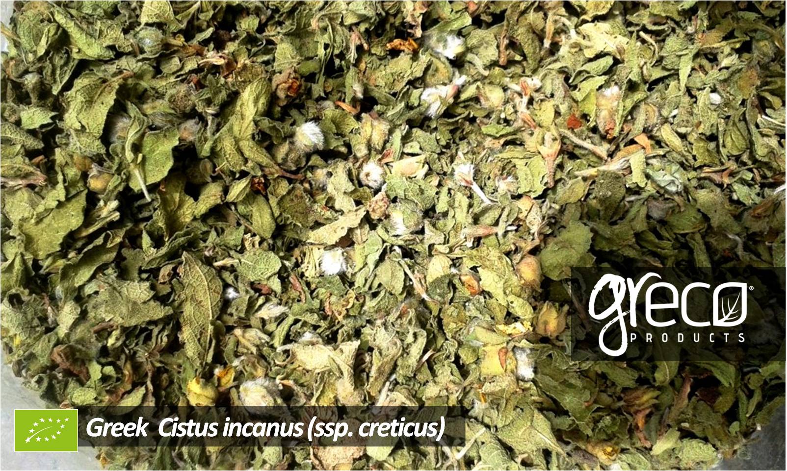 Greco czystek (cistus incannus) 25g BIO – zdjęcie 4