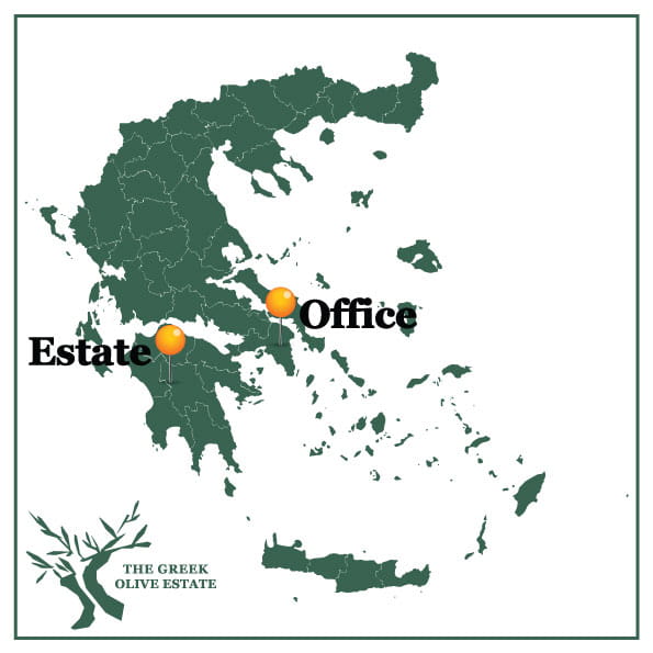 Greek Olive Estate Drop of Life oliwa extra virgin 250ml BIO – zdjęcie 2