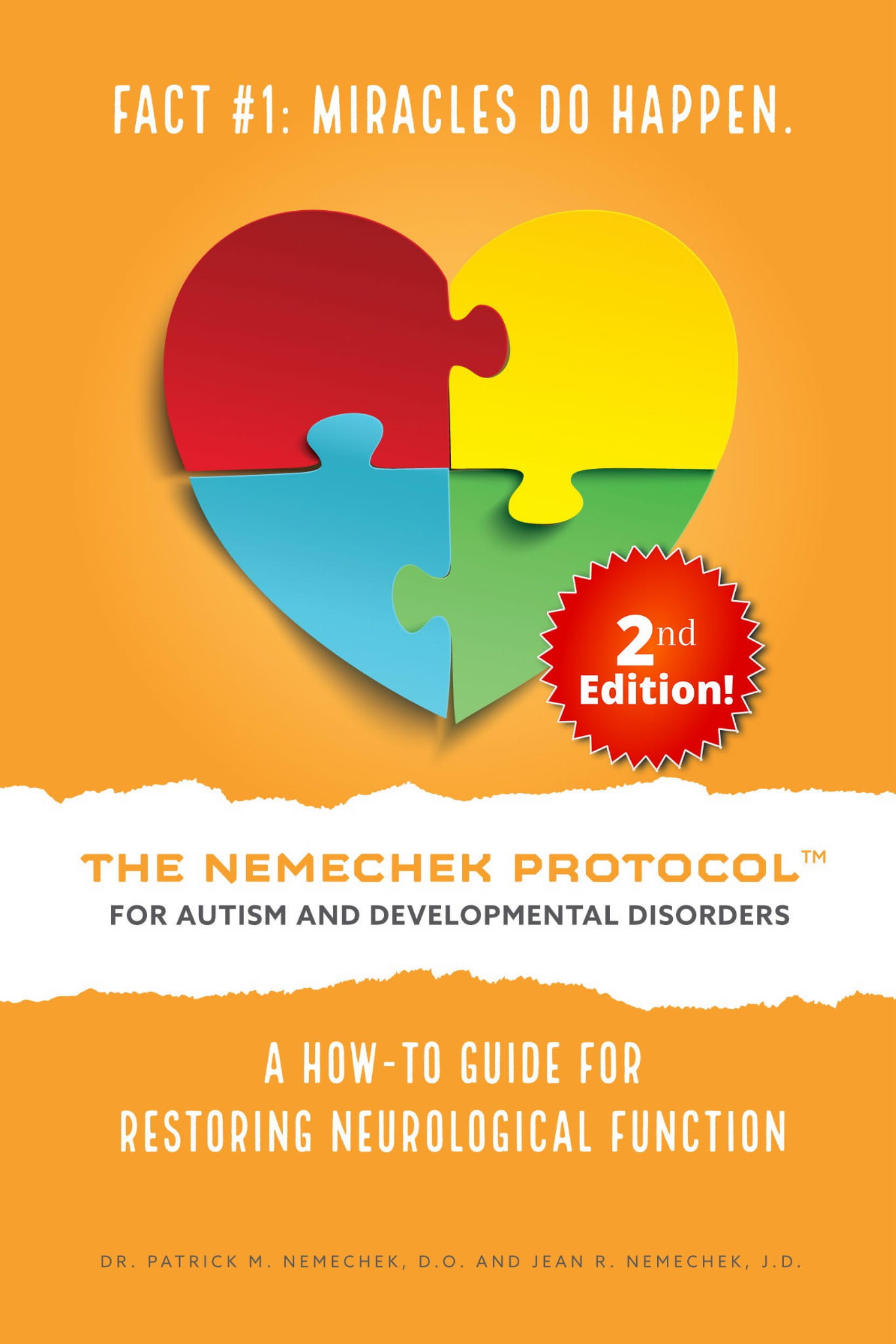 The Nemechek Protocol for Autism and Developmental Disorders 2nd Ed English