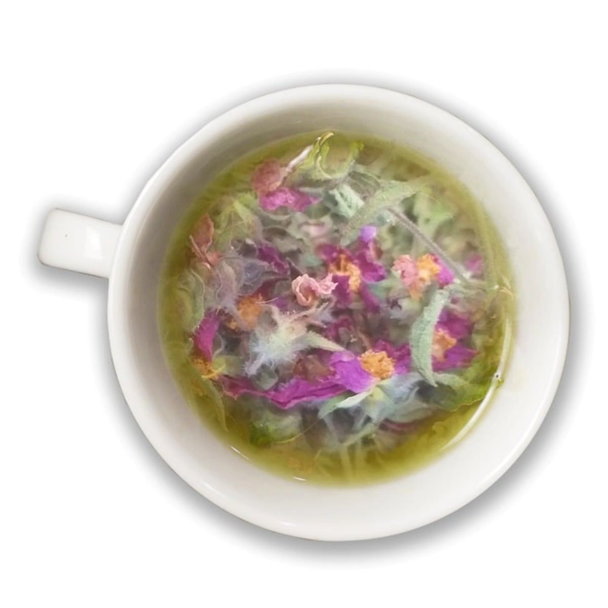 Tofillo Czystek kreteński (cistus creticus) 30g – zdjęcie 4