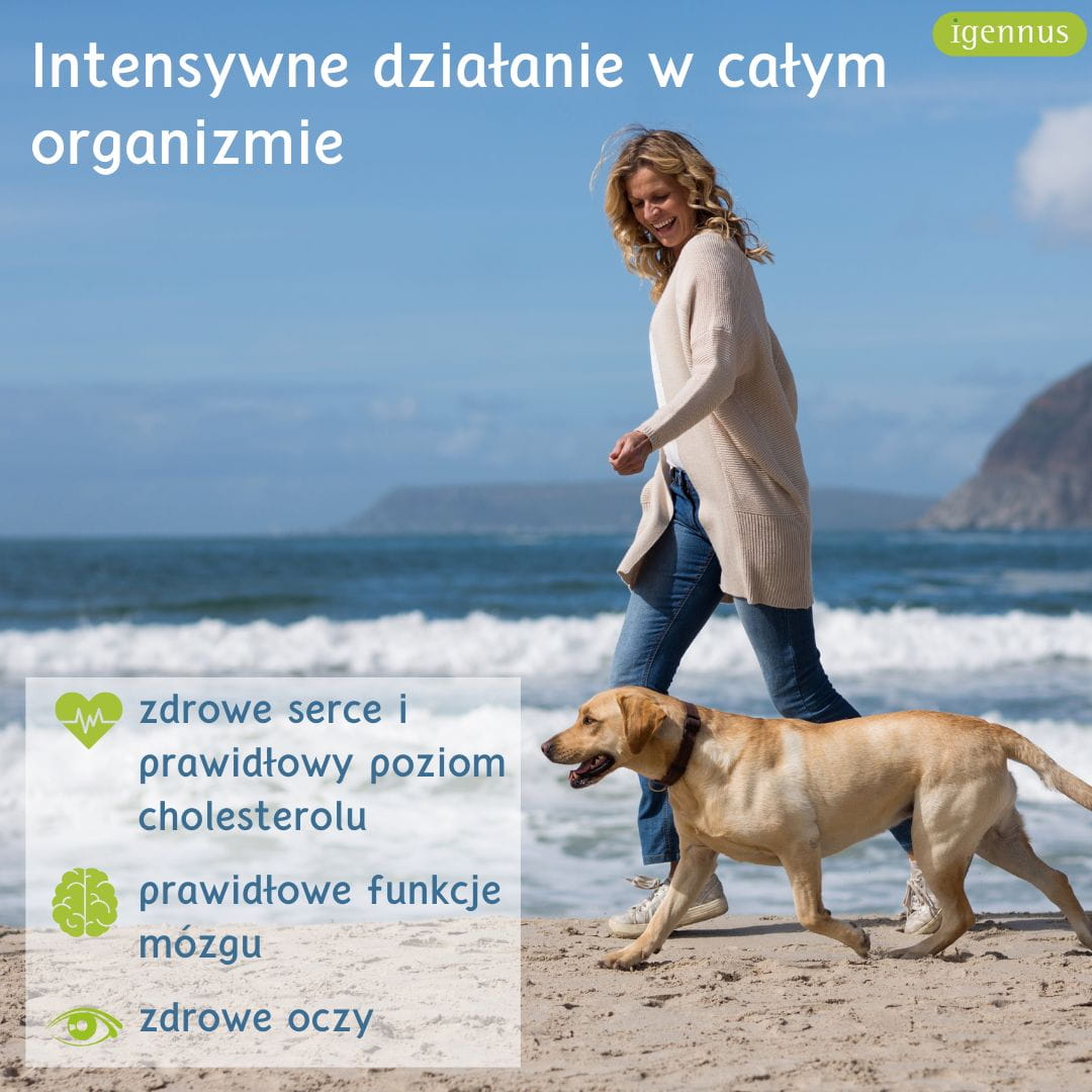 Igennus Pharmepa RESTORE Omega 3 EPA 1000 mg 60 kapsułek – zdjęcie 3