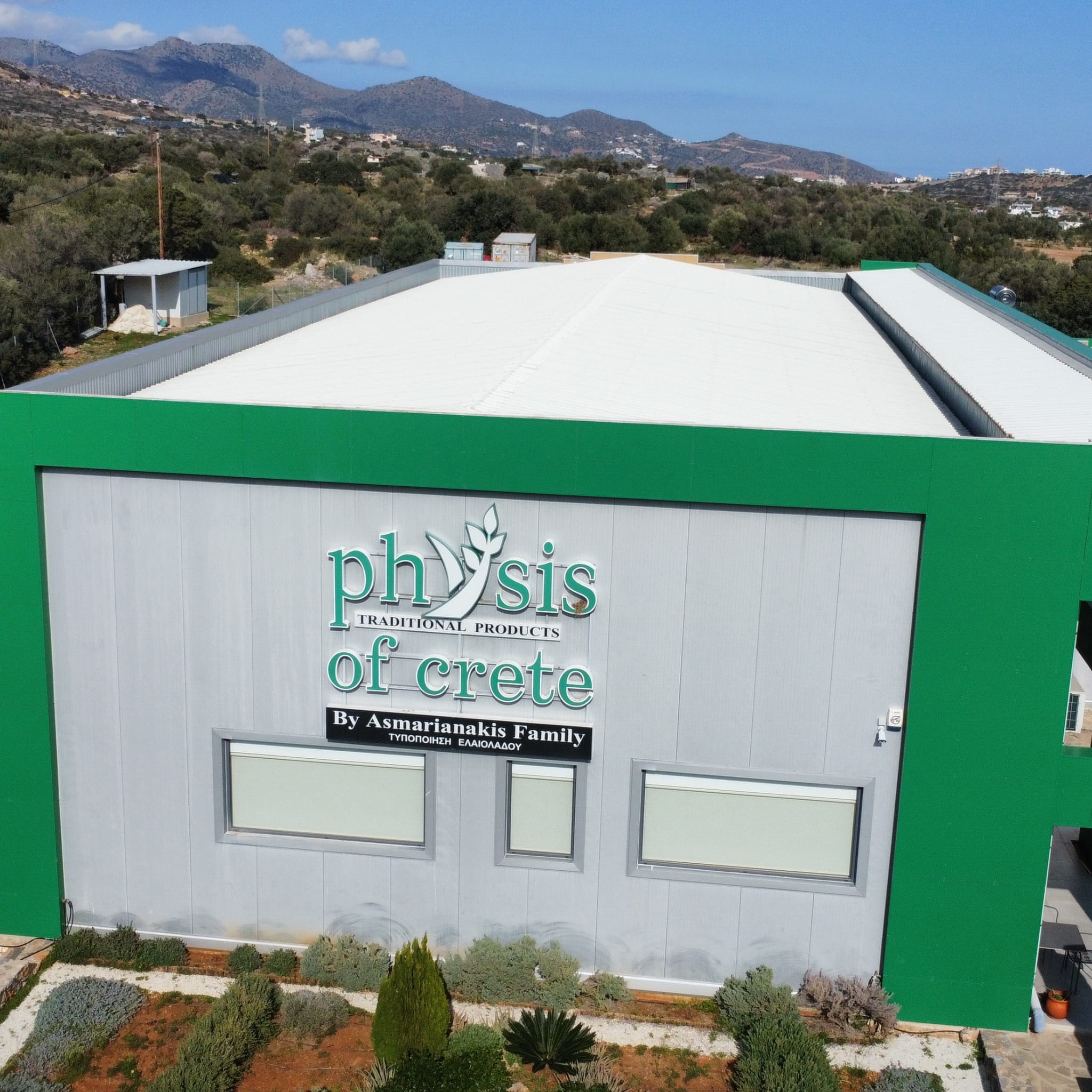 Physis of Crete oliwa extra virgin łagodna do sałatek 3l – zdjęcie 9