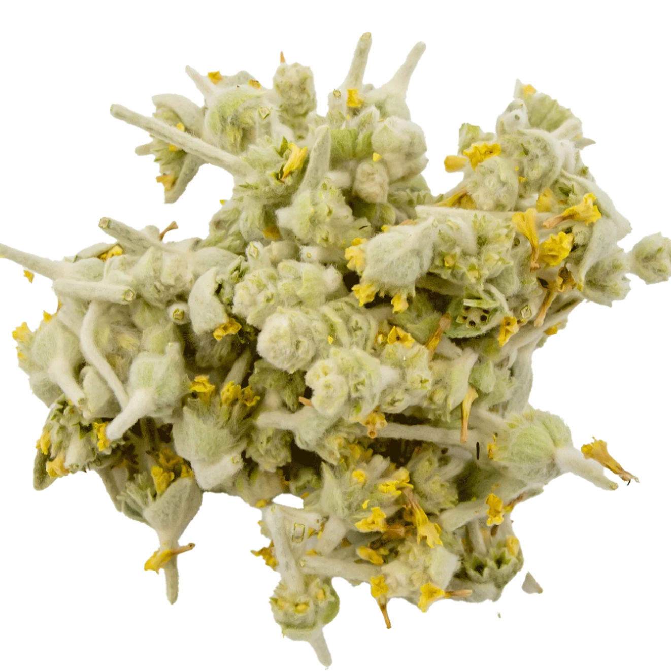 Tofillo Malotira (herbata górska, gojnik) z Krety 30g BIO (doypack) – zdjęcie 4