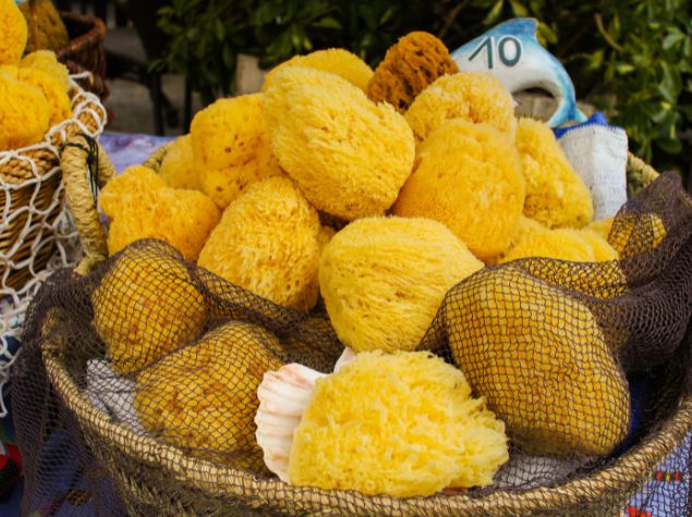 Naturalne gąbki morskie z Krety