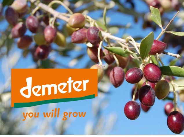 Biodynamiczna jakość z Grecji: poznaj markę Epikouros i certyfikację Demeter